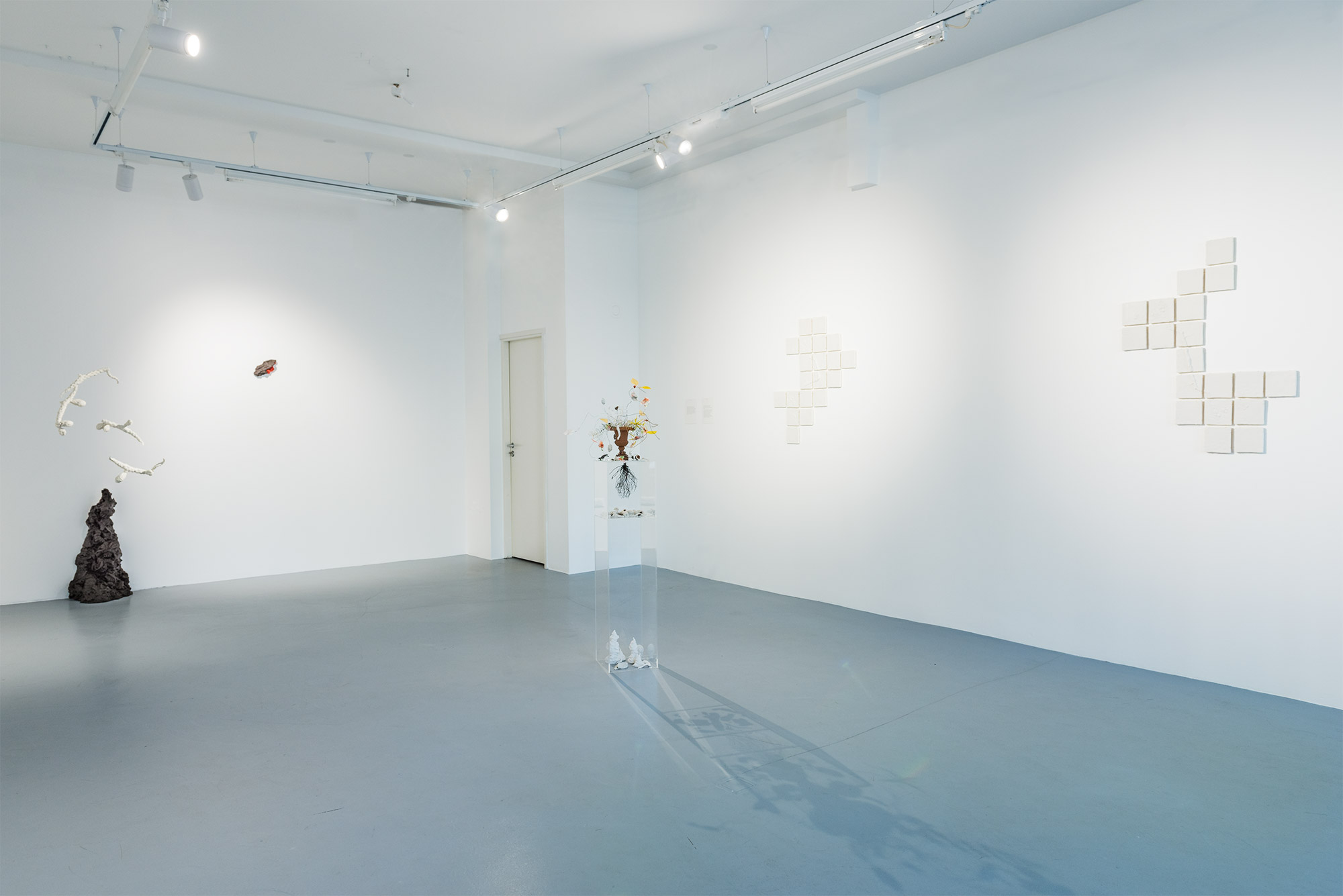 Exhibition view: Eike Eplik "Biomass – Ghost In the Corner"