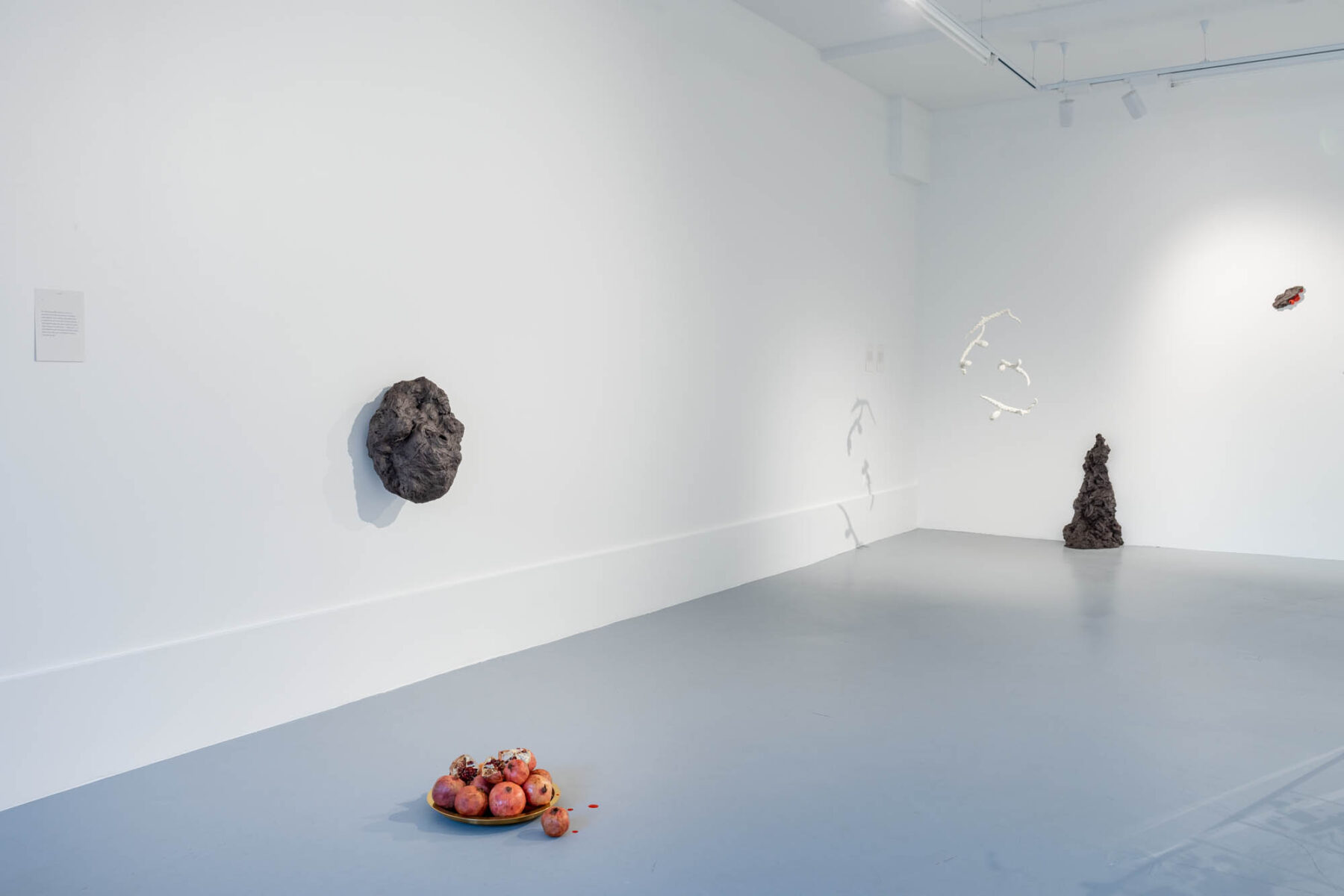 Exhibition view: Eike Eplik "Biomass – Ghost In the Corner" with text by Mehis Heinsaar