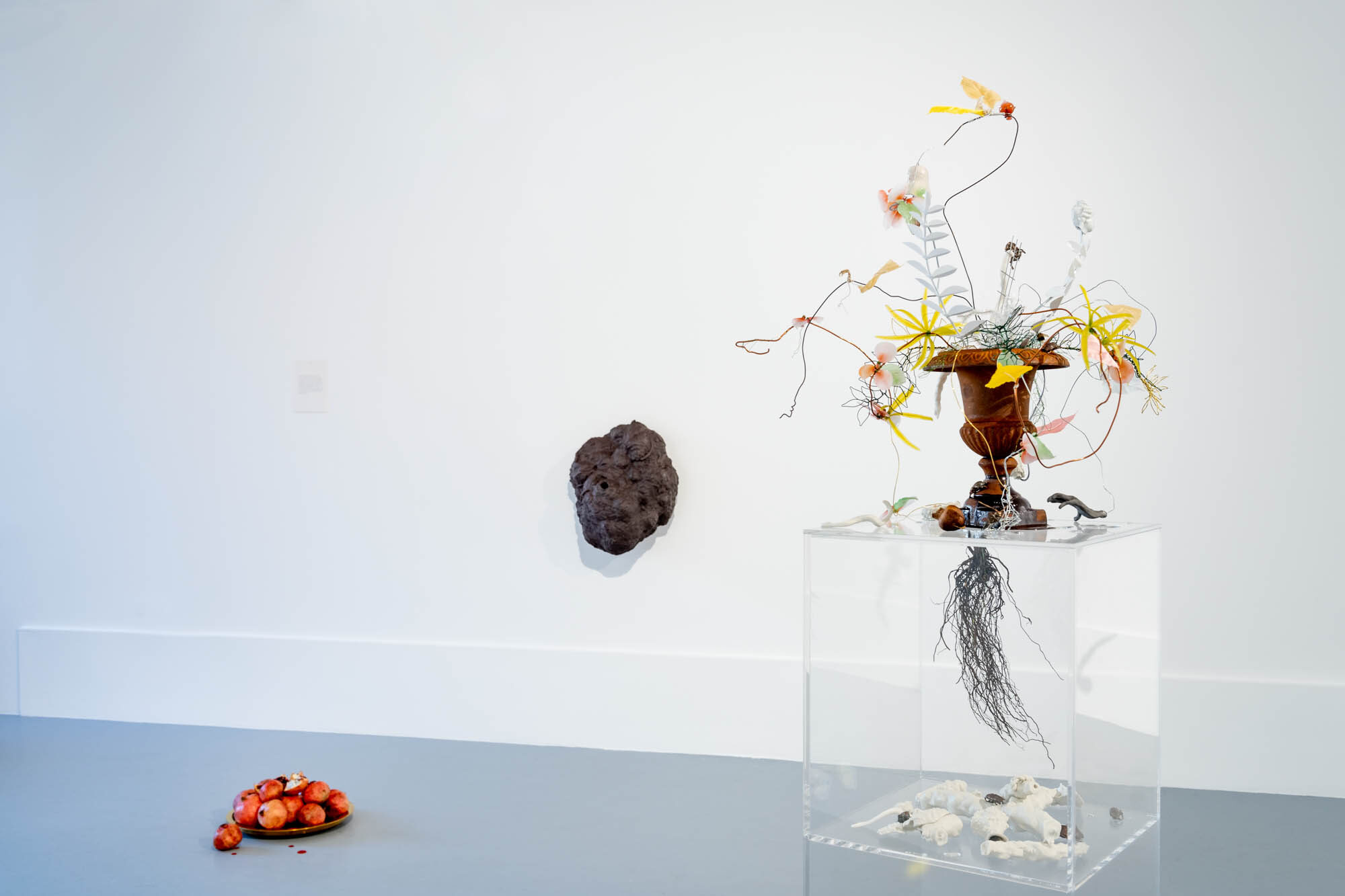 Exhibition view: Eike Eplik "Biomass – Ghost In the Corner" with text by Mehis Heinsaar