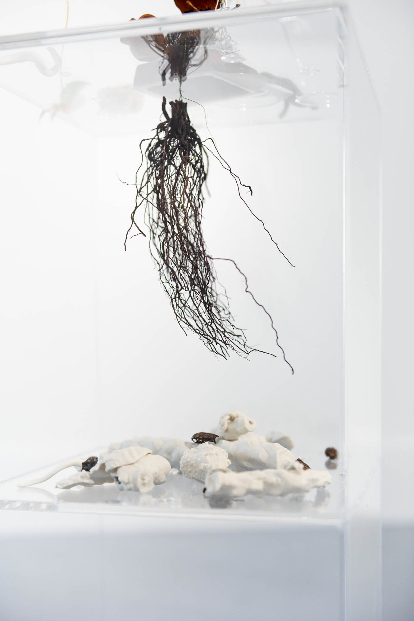 Exhibition view: Eike Eplik "Biomass – Ghost In the Corner"