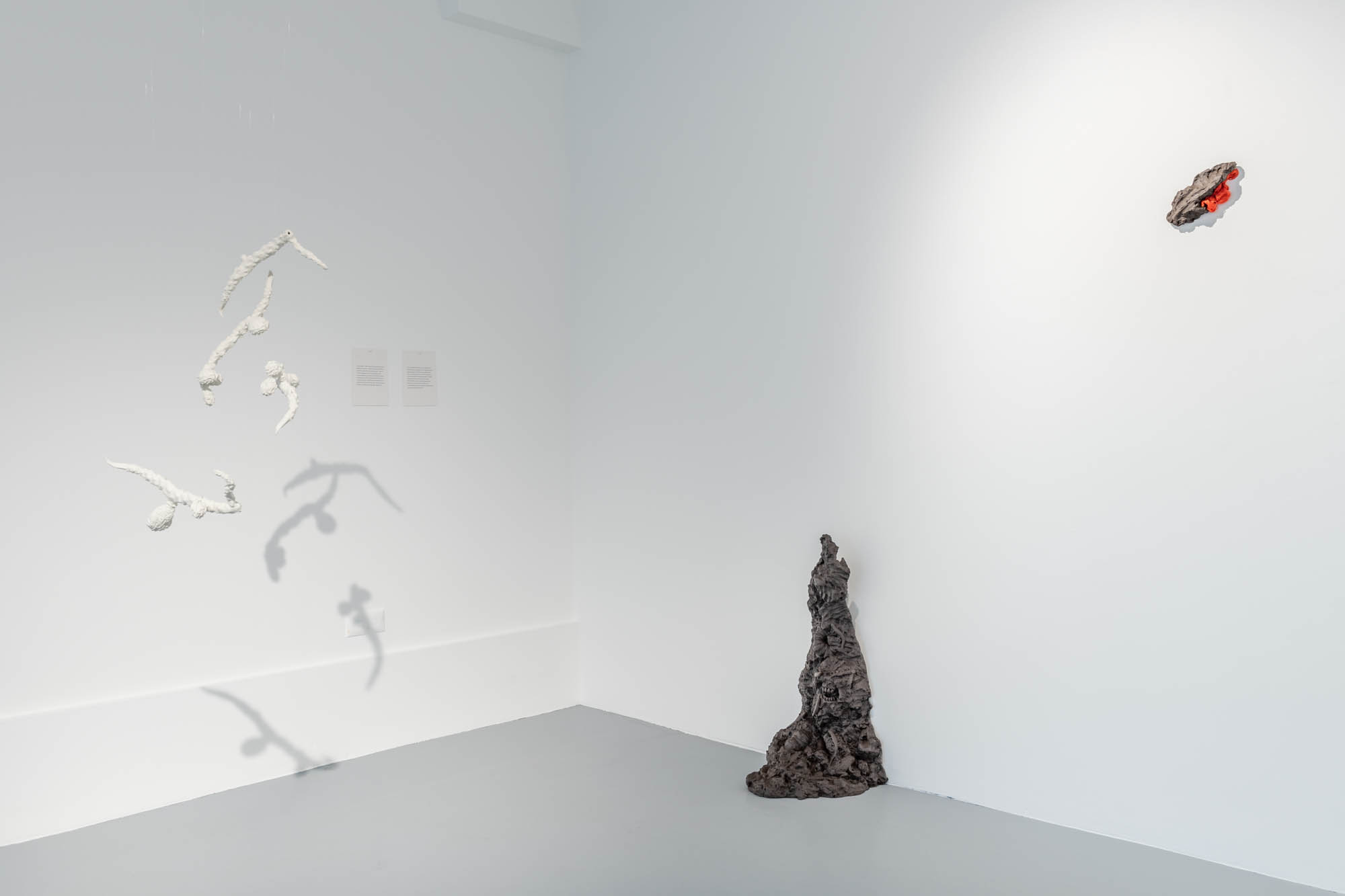 Exhibition view: Eike Eplik "Biomass – Ghost In the Corner" with text by Mehis Heinsaar